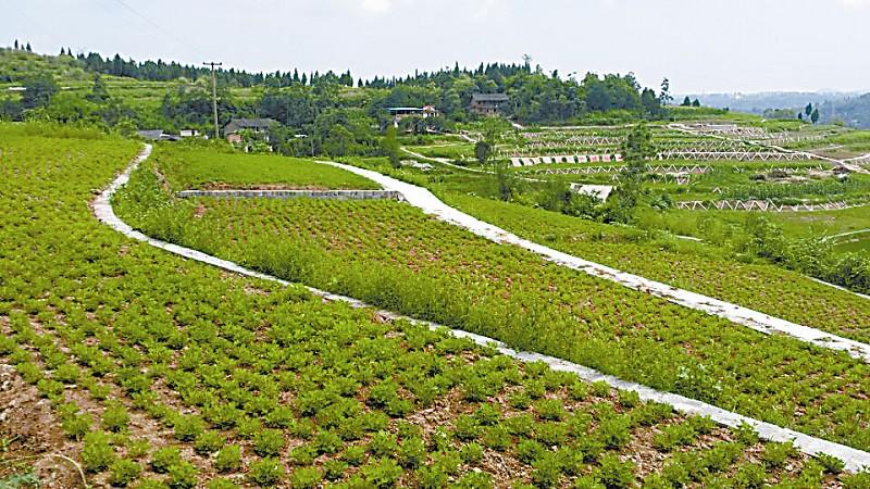廖瑞钊参加江西水利职业学院与永修县人民政府合作办学项目签约仪式