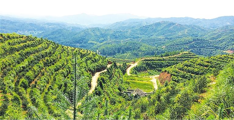 江西安福：高位推动绿色矿山建设