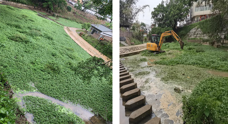 福建省上杭蓝溪：水土保持留住绿水青山