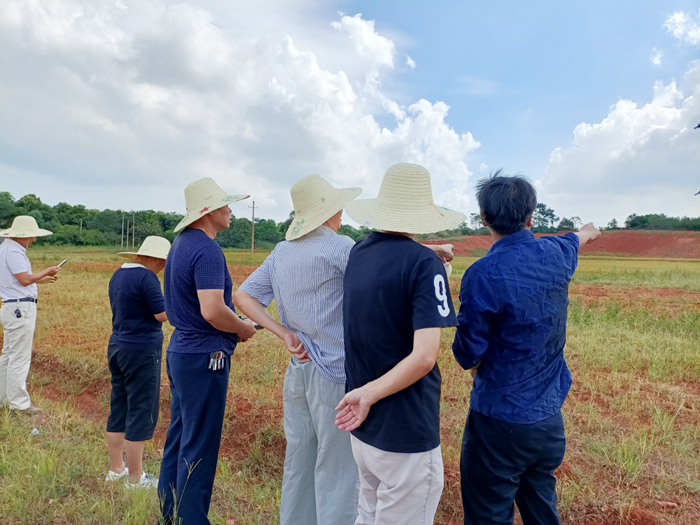 江西省樟树市完成废弃露天矿山生态修复工程项目竣工验收